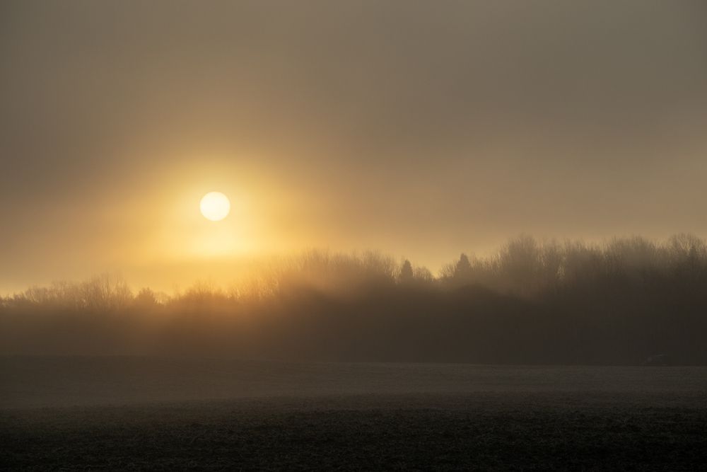 Photograph by Еловик Валерий