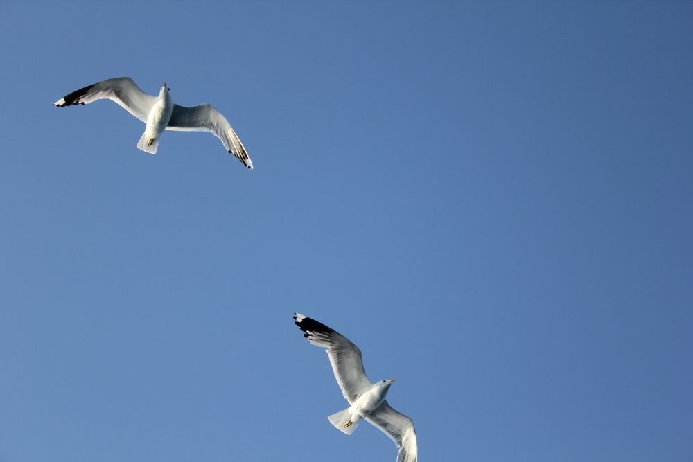 Фотография автора Наталья Визер