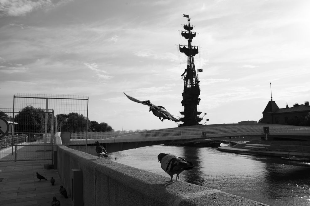 Photograph by Машевский Владимир