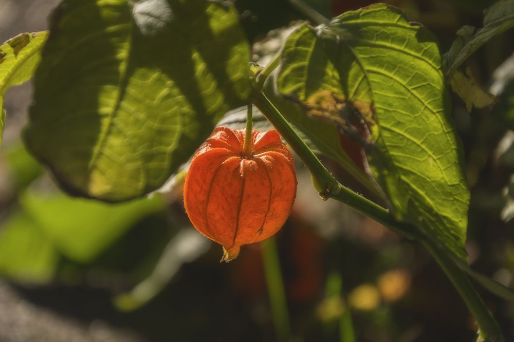 Photograph by Cергей Черныш