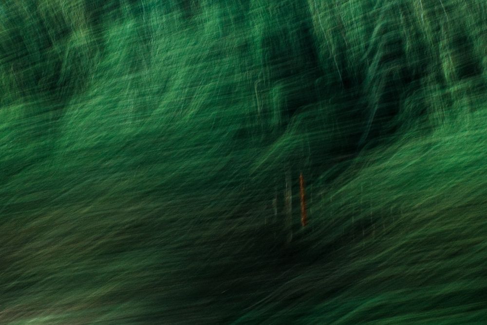 Photograph by Максим Буров