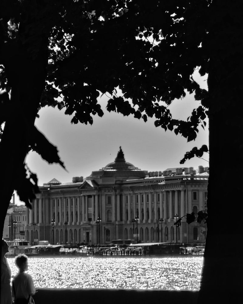 Photograph by Алена Самошина