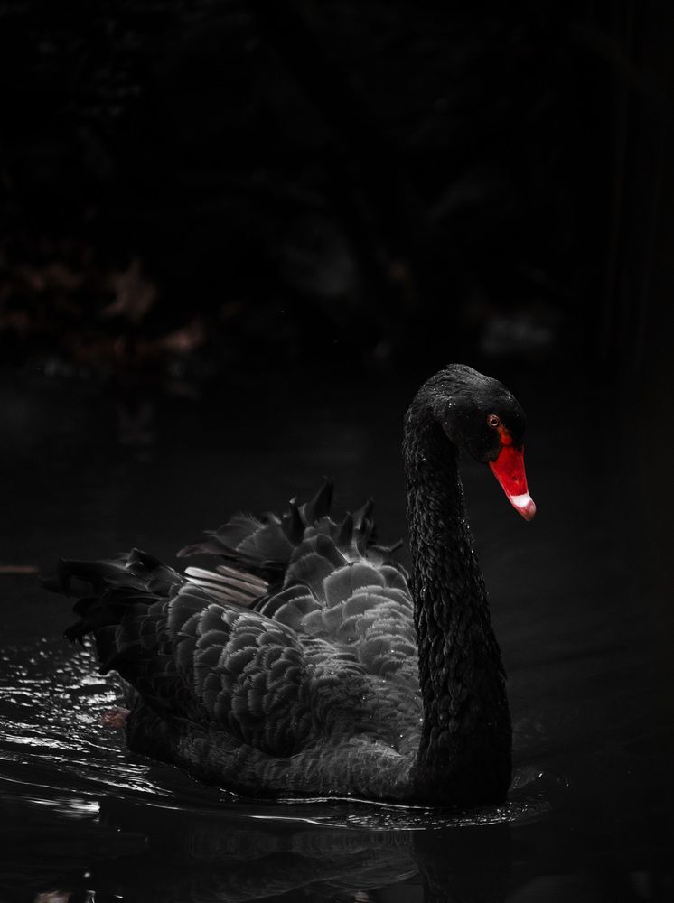 Photograph by Юлия Григорьева