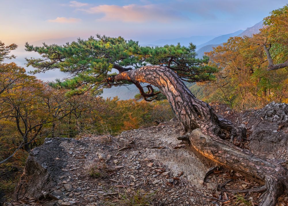Photograph by Jaeyoun Ryu