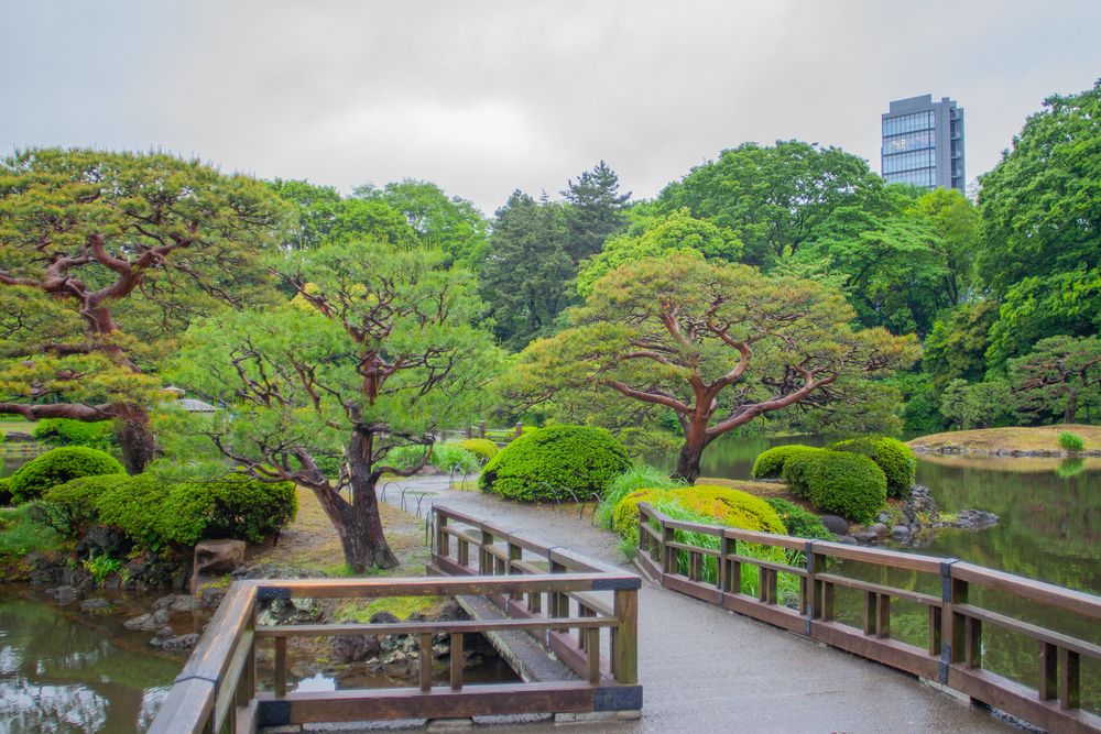 Парк Синдзюку-гёэн. Токио.