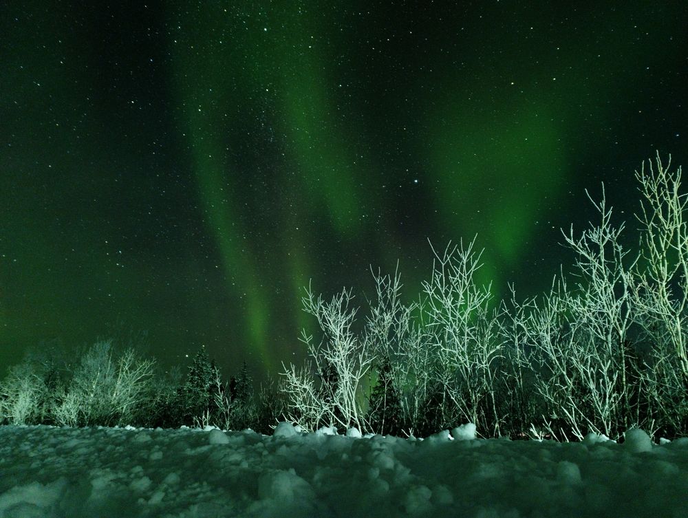 Photograph by Елена Шишкина