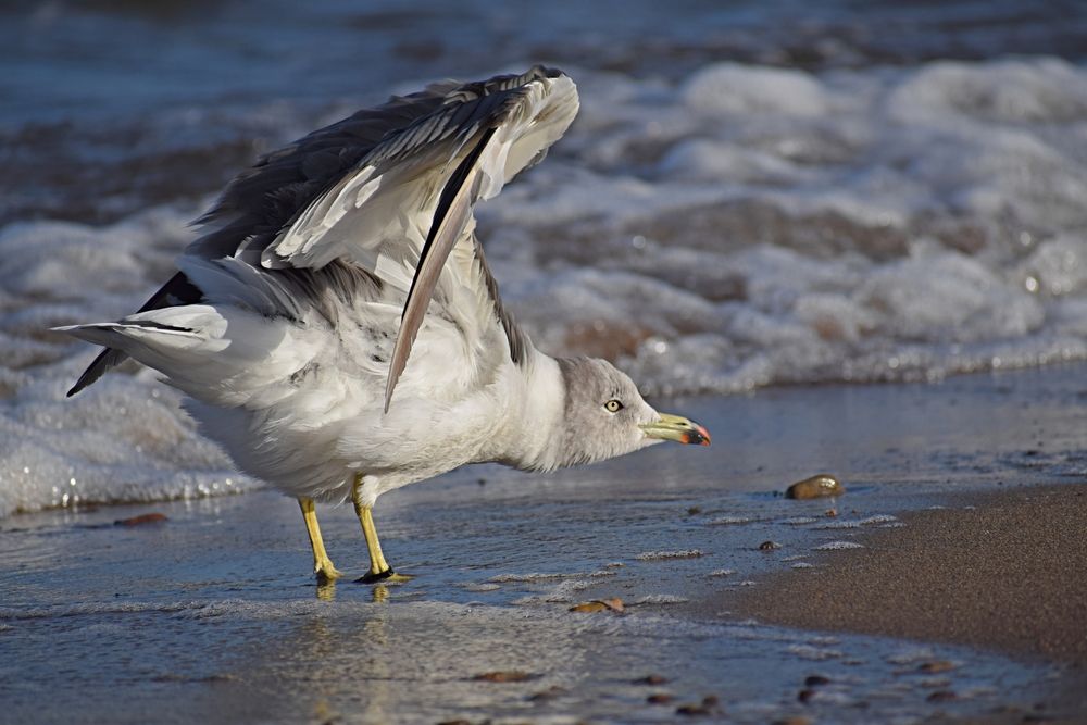 Photograph by Игорь Седунов