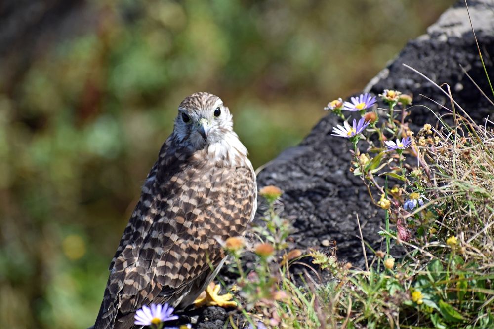 Photograph by Игорь Седунов