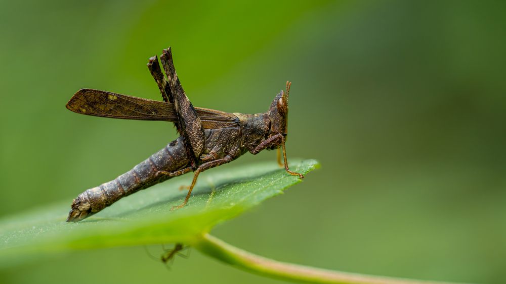 Photograph by Kiệt Huỳnh Anh