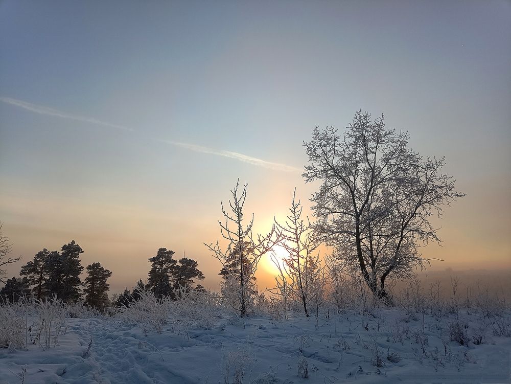 Photograph by Ирина Молоткова
