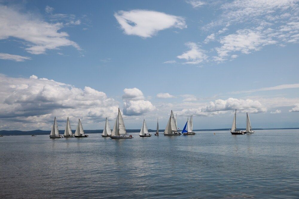 Photograph by Елена Шишкина