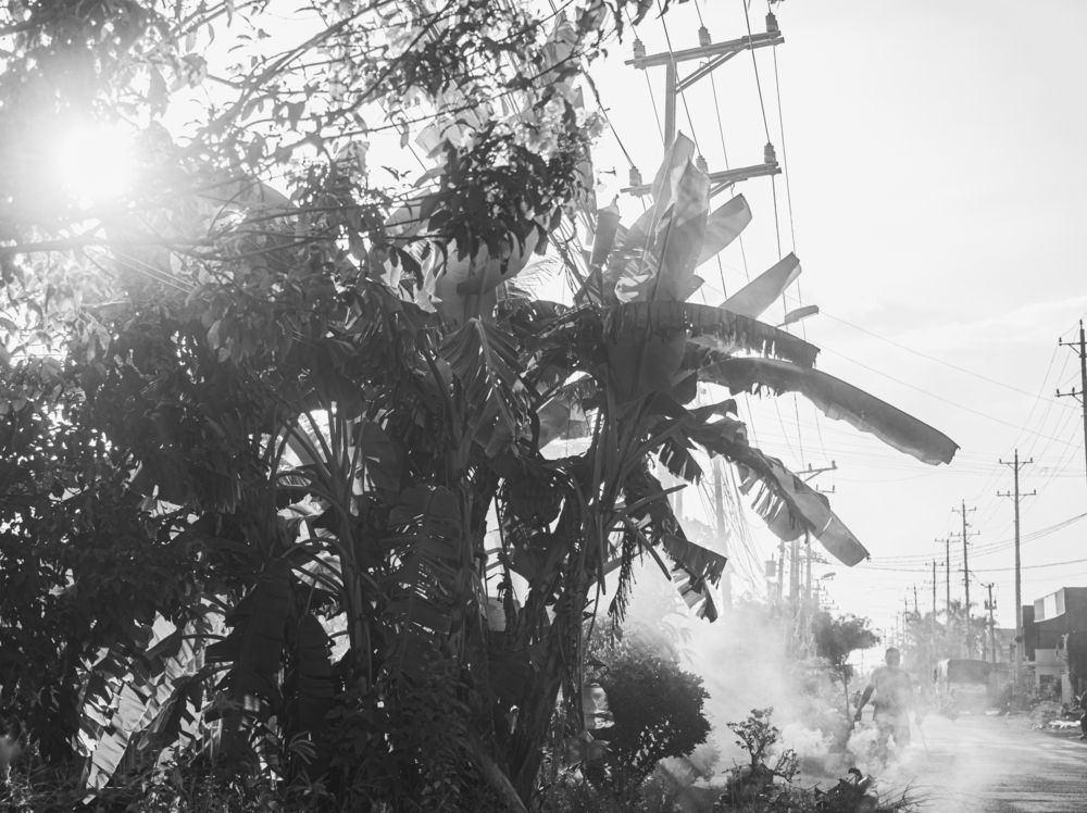 Фотография автора Henry Tran