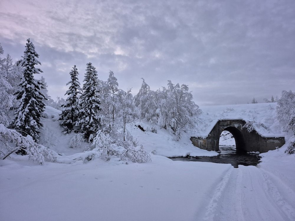 Photo #12913712
