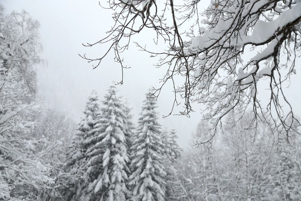 Photograph by Лада Денисова