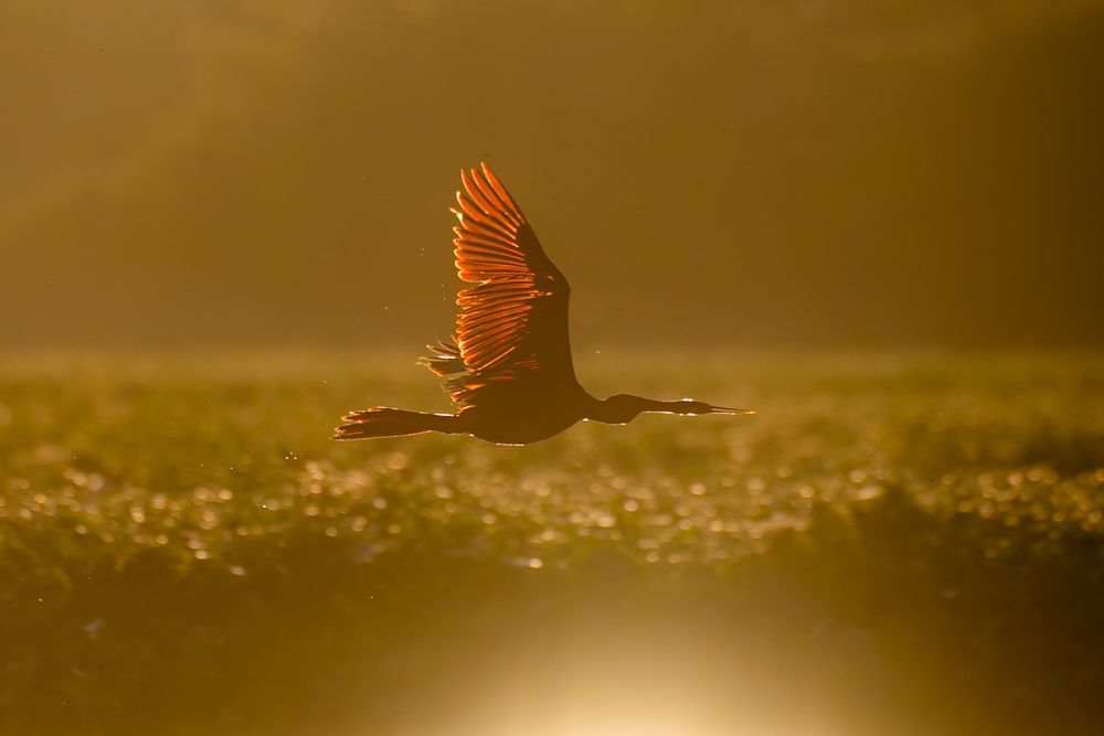 Photograph by Abhishek Pradhan