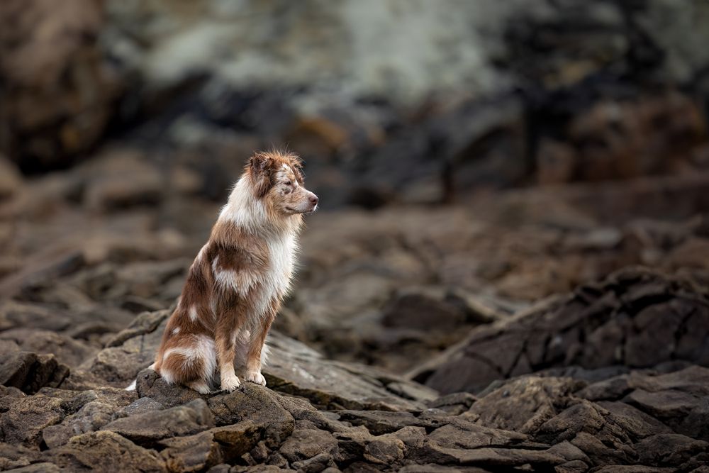Photograph by Sina Möller
