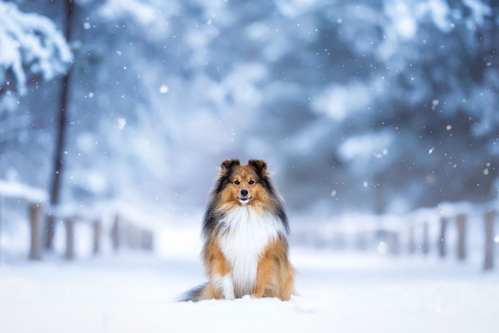 Photograph by Sina Möller