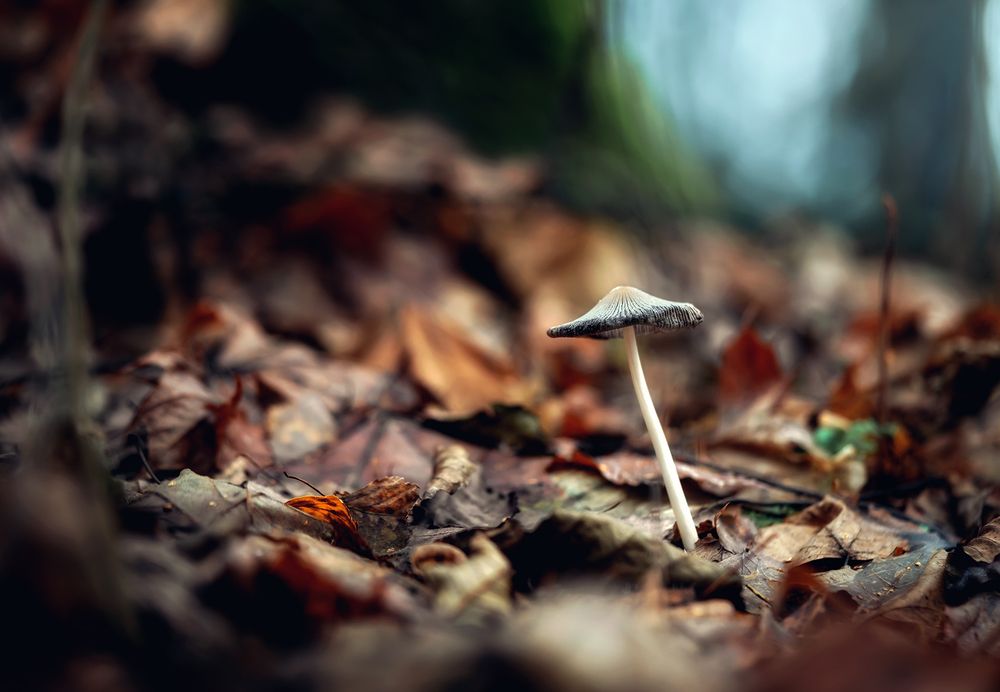 Photograph by Людмила Завьялова
