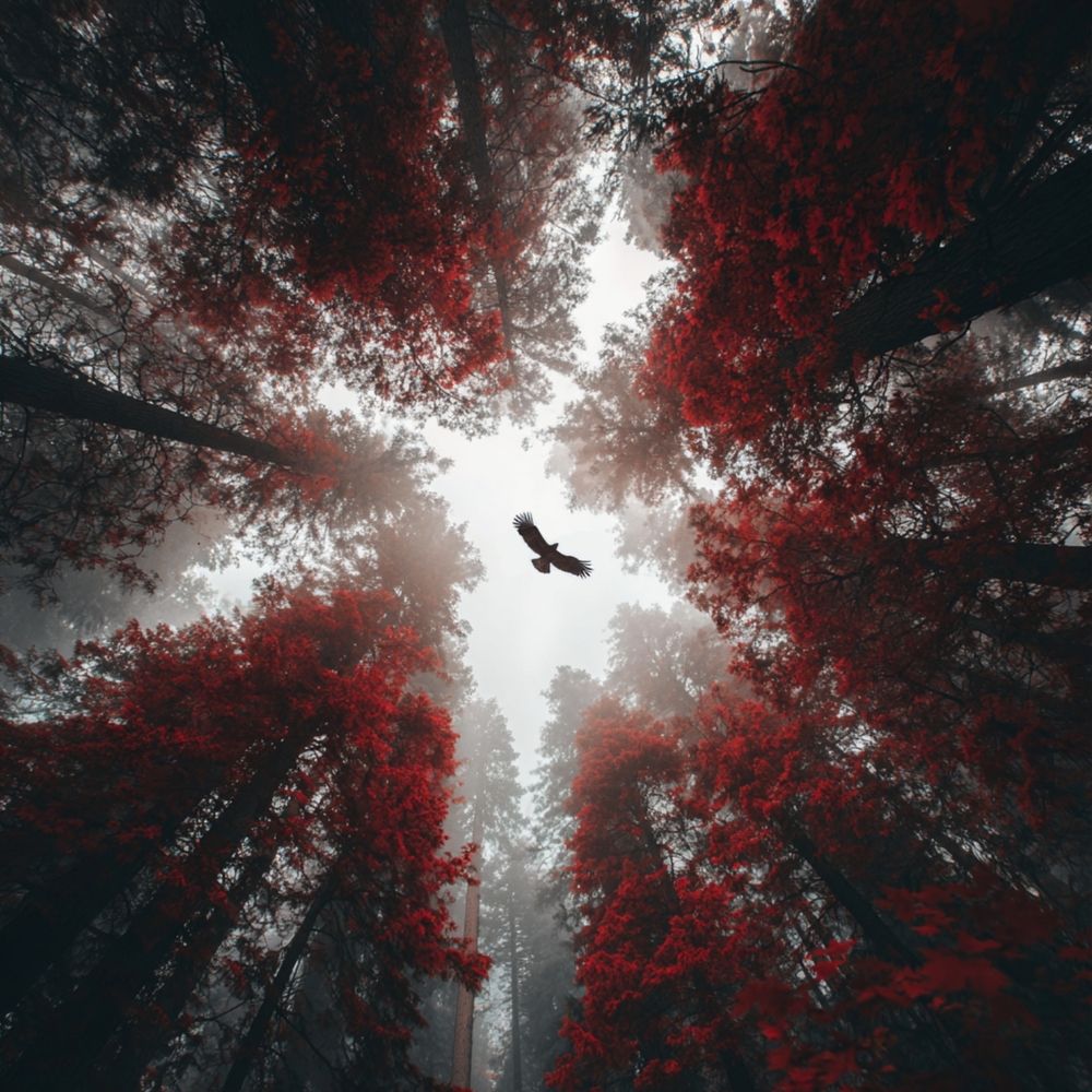 Photograph by Майя Стащенко