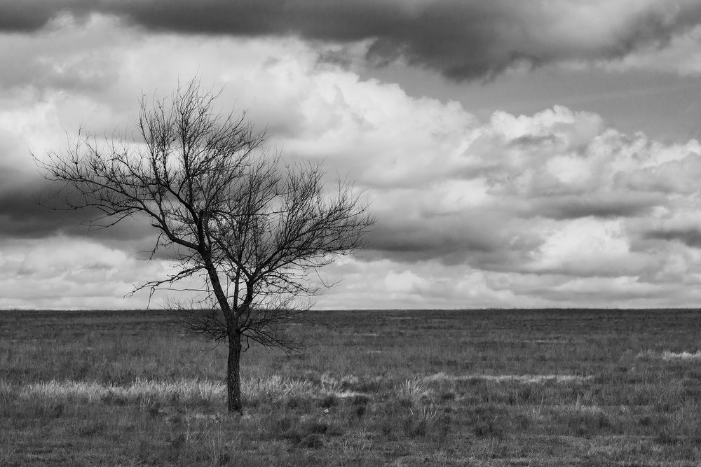 Photograph by Бугаев Олег