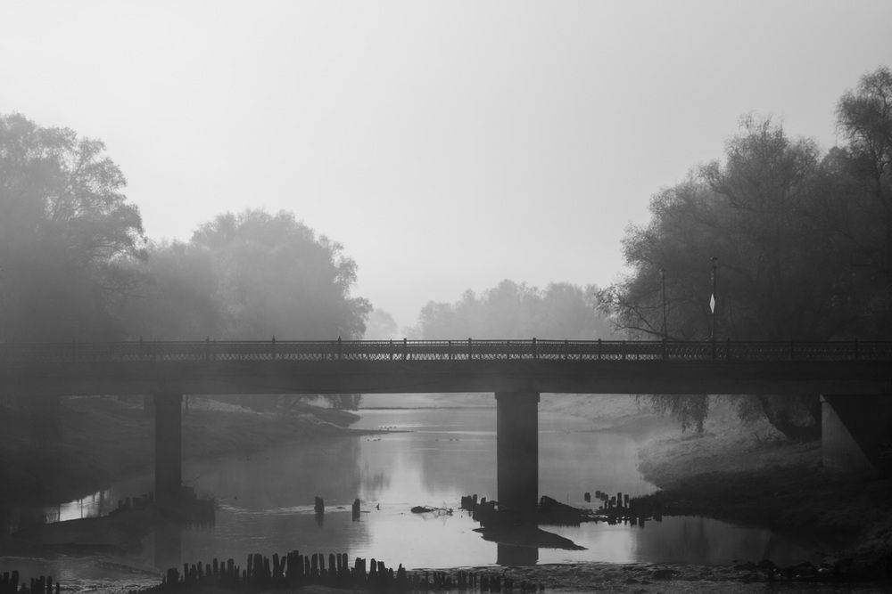 Фотография автора Бугаев Олег