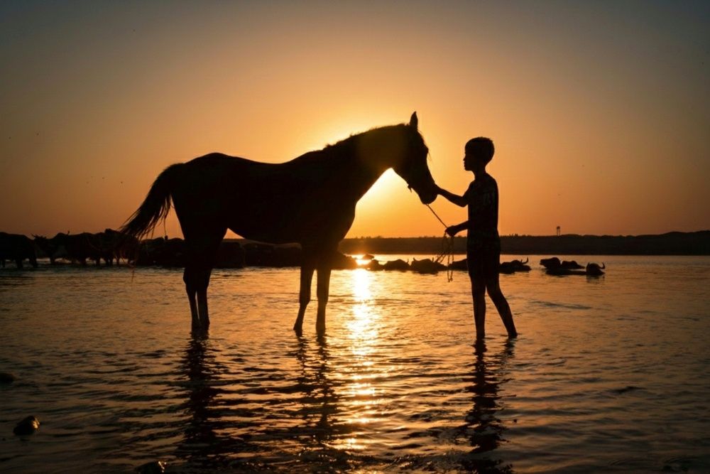 Photograph by Amin Golestanipour