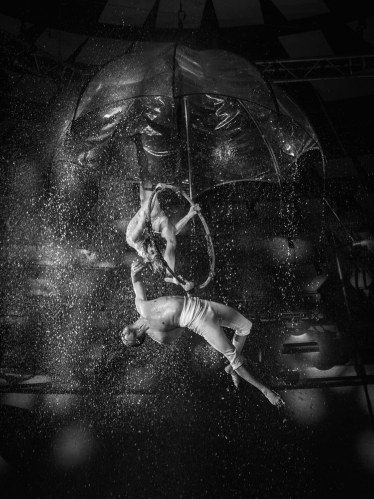 Photograph by Szatmári Zsolt