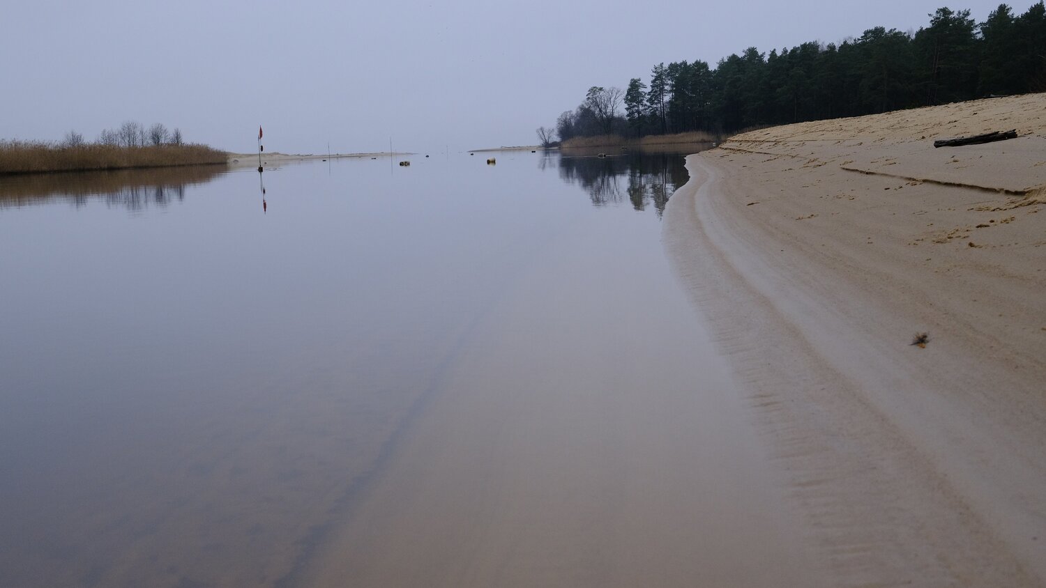 Photo #12914273