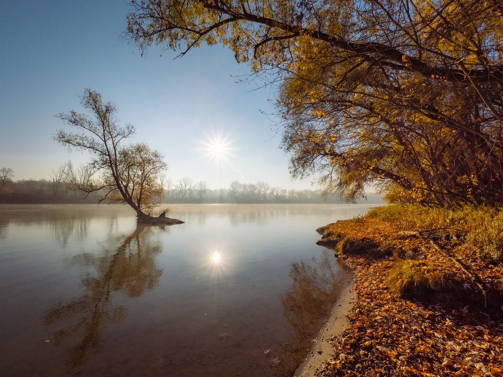Photograph by Szatmári Zsolt