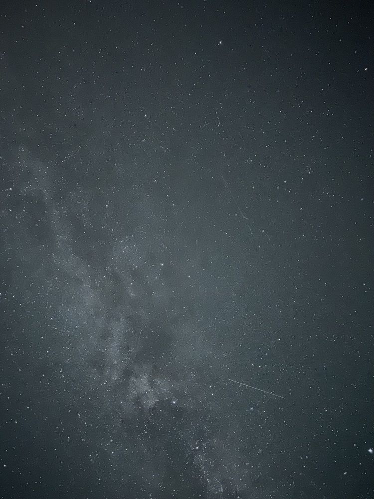 Фотография автора Полина Ишкина