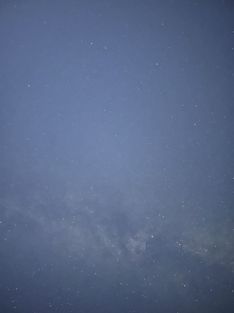 Фотография автора Полина Ишкина