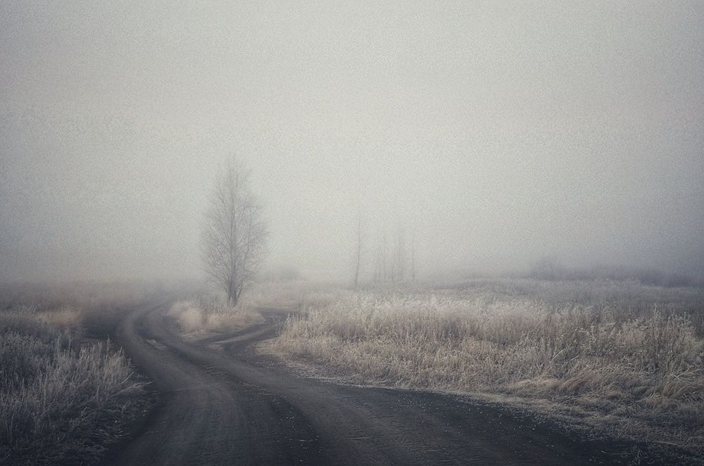 Photograph by Евгений Альмухаметов