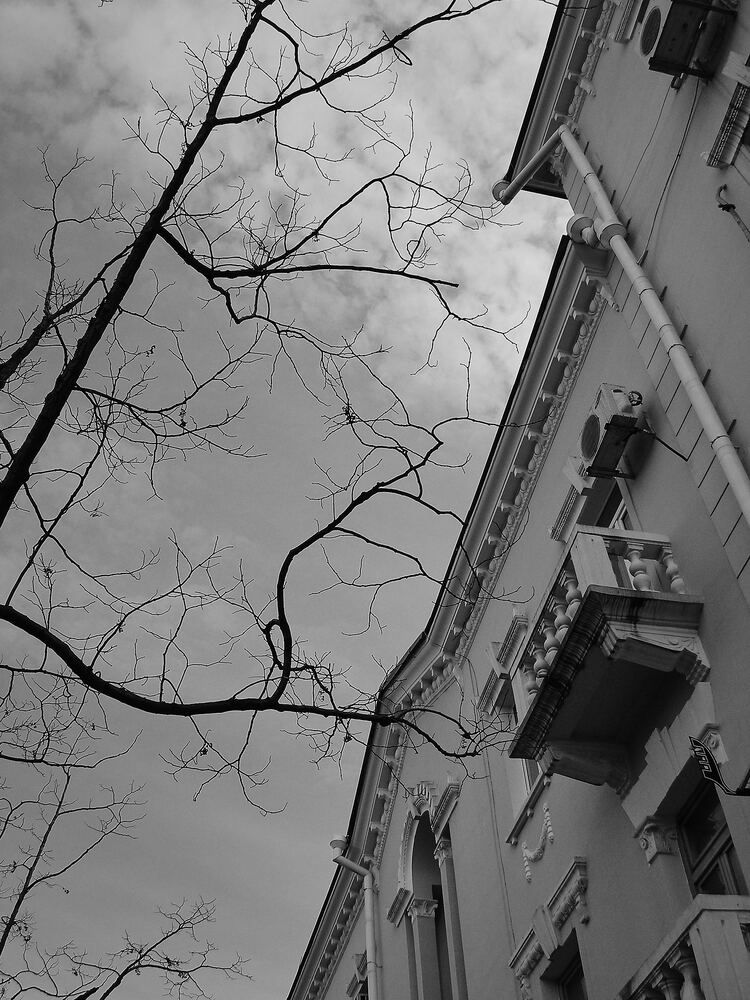 Photograph by Константин Громов