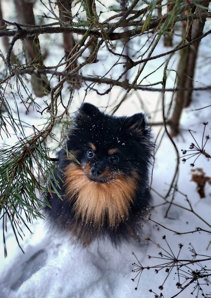 Photograph by Саня Афонина