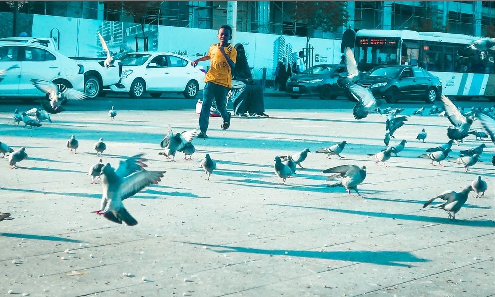 Photograph by Rami Adel