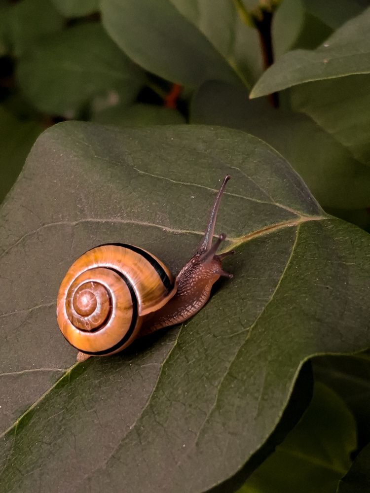 Photograph by ALENA SHAPAVALAVA