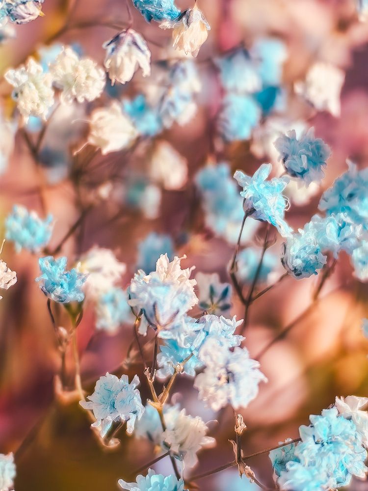 Photograph by Панов Вячеслав