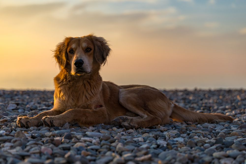 Photograph by Сергей Синякин