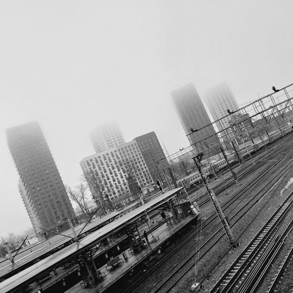 Photo #12914897
