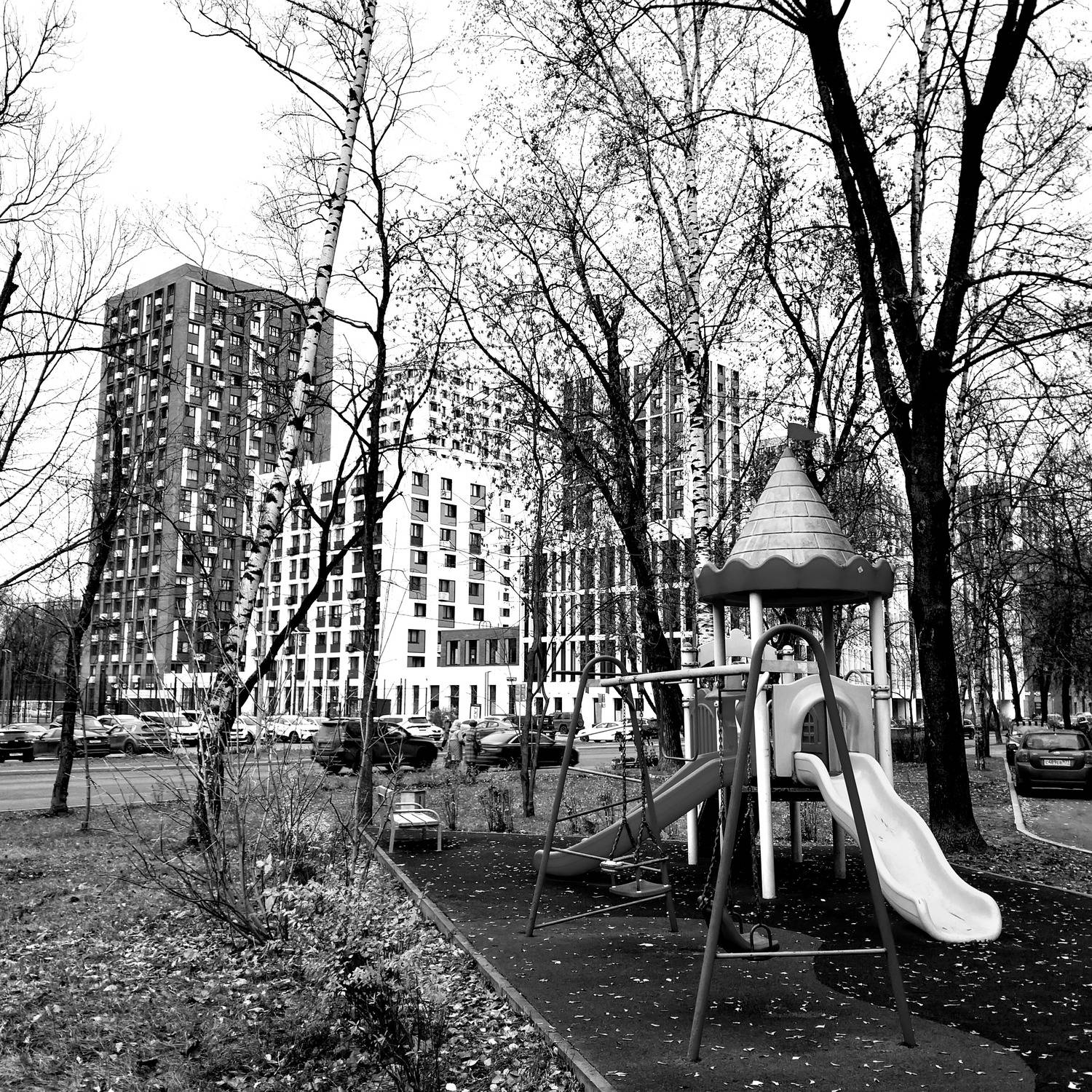 Photo #12914900