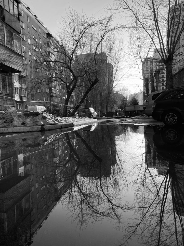 Photograph by Алиса Лукина