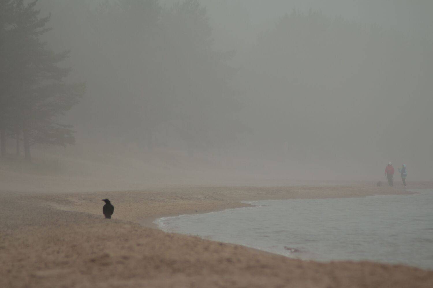 Photo #12915083