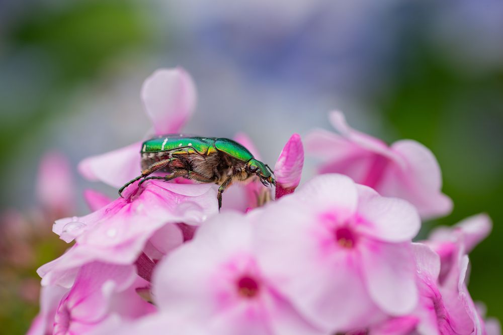 Photograph by Wioletta Kubisiak
