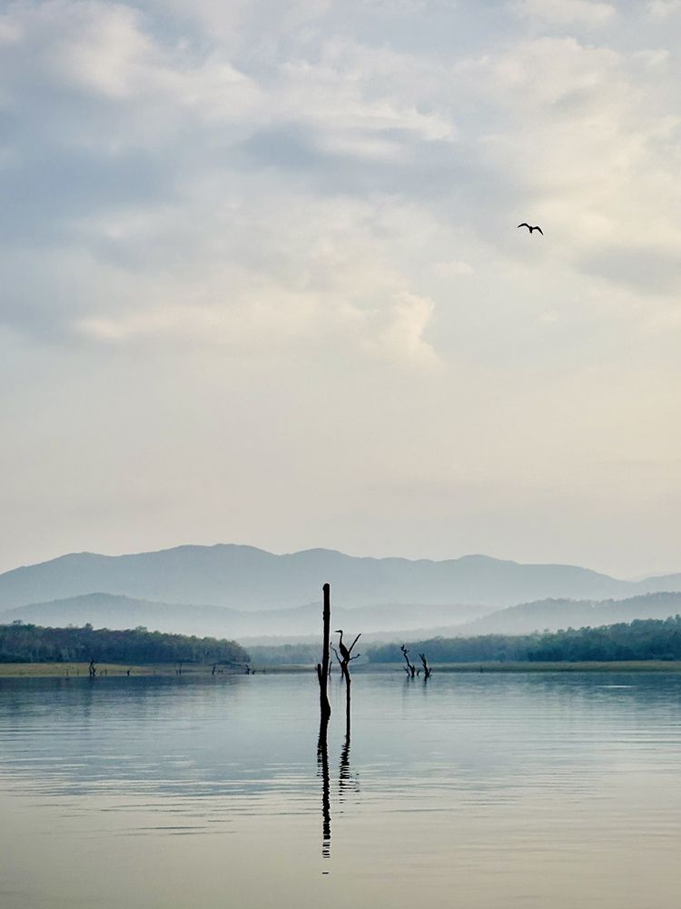 Photograph by BIPLAB MISRA