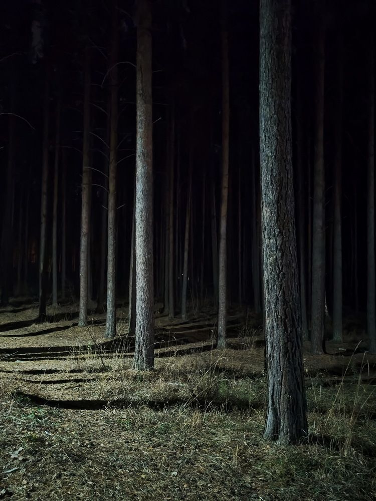 Photograph by Виталий Черепенькин