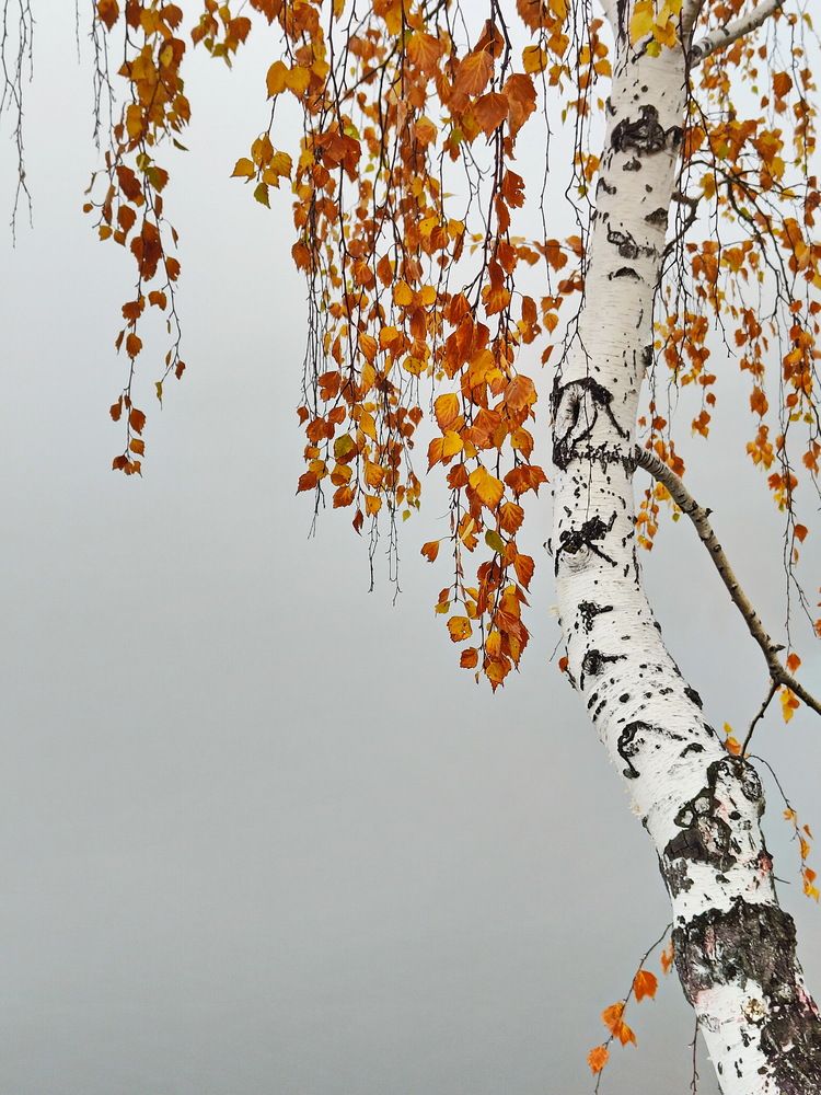 Photograph by Виталий Черепенькин