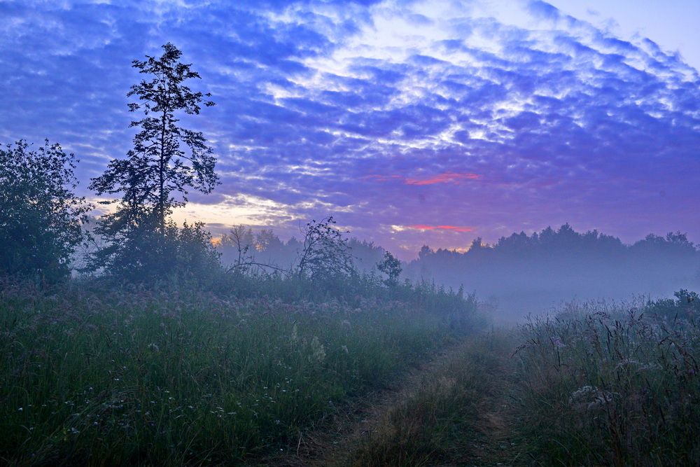 Photograph by Валерий Толмачев
