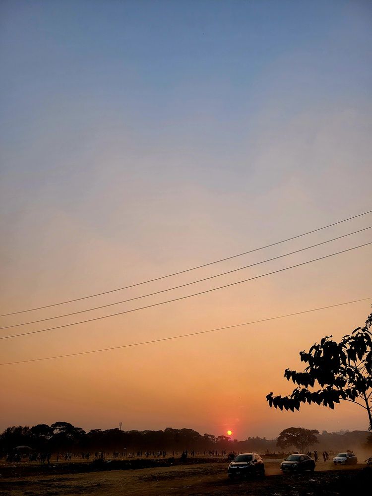 Photo #12915422