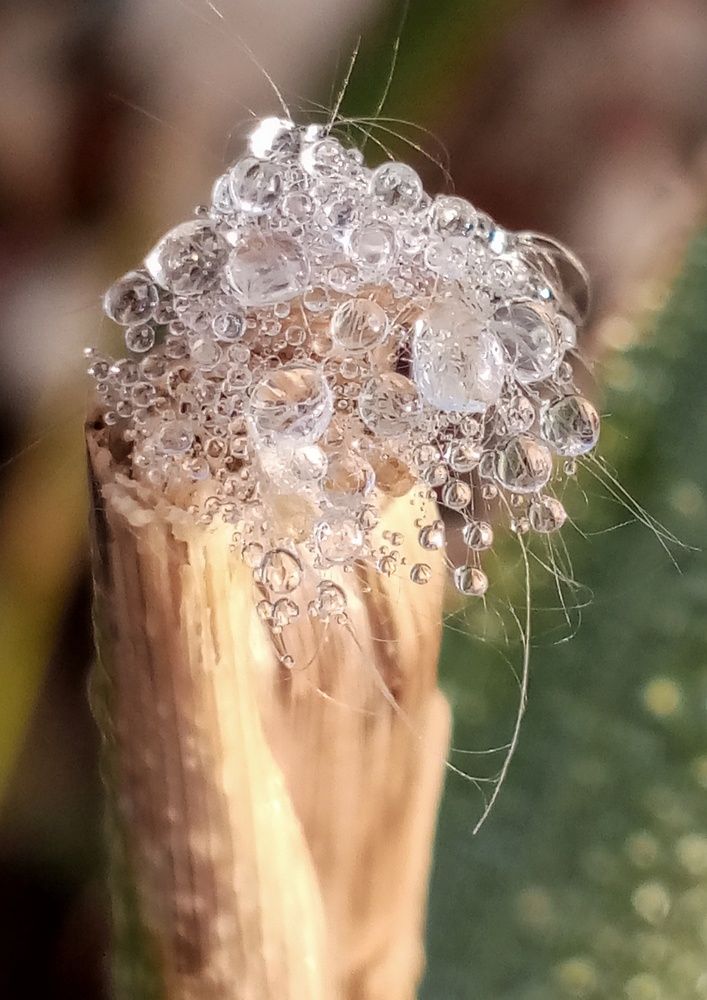 Photograph by Ольга Куцева