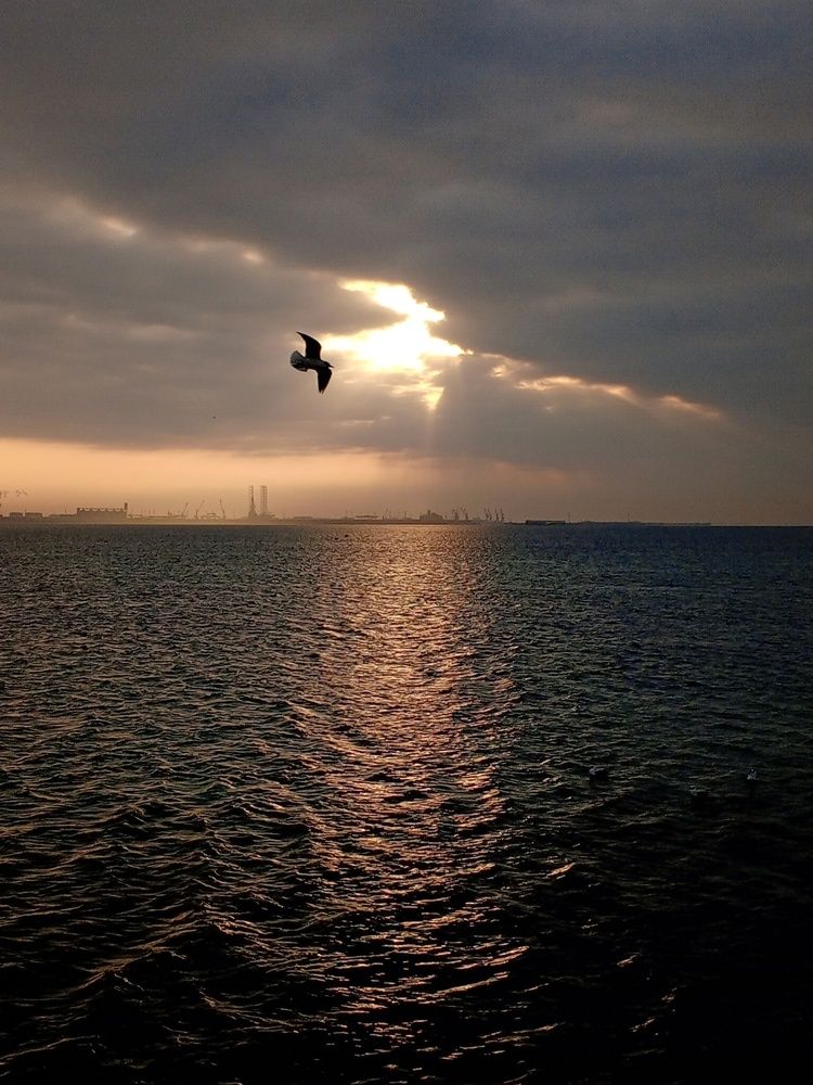Photograph by Ольга Куцева